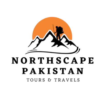 northscape logo